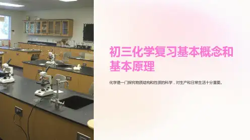 初三化学复习基本概念和基本原理