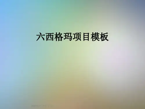 六西格玛项目模板