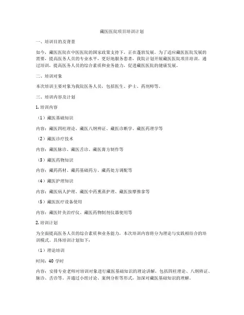 藏医医院项目培训计划