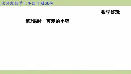北师大版六年级下册数学 第3课时 可爱的小猫 知识点梳理重点题型练习课件