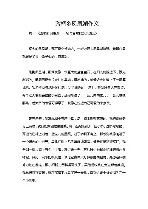 游桐乡凤凰湖作文