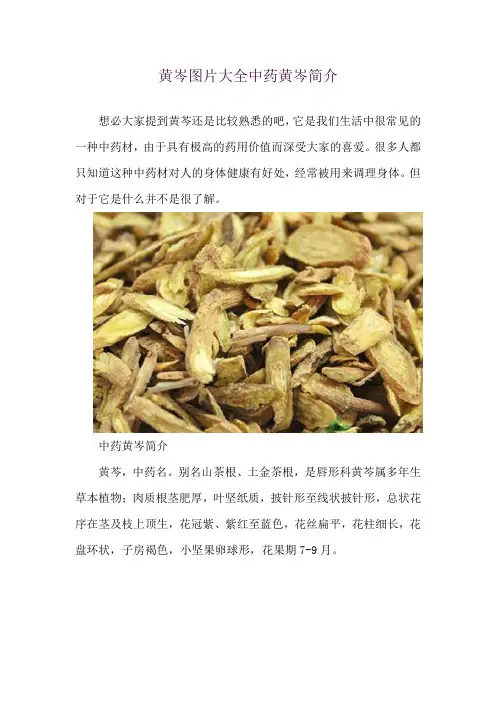 黄岑图片大全 中药黄岑简介