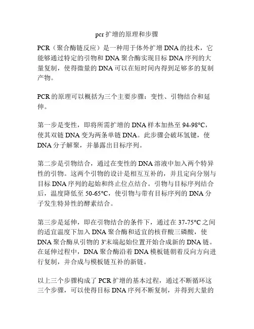pcr扩增的原理和步骤