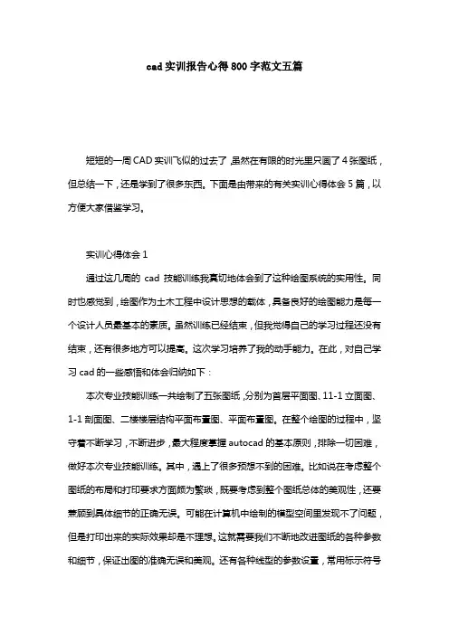 cad实训报告心得800字范文五篇