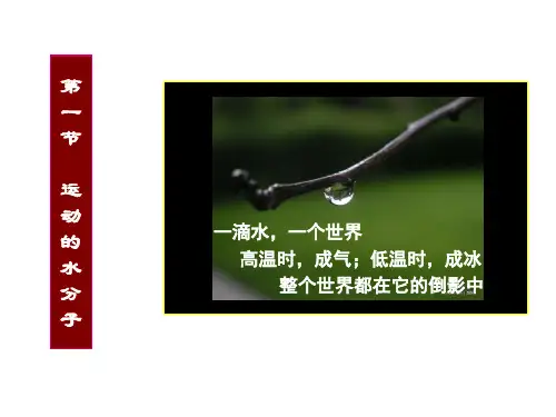 鲁教版八年级化学《运动的水分子》课件 