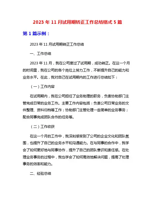 2023年11月试用期转正工作总结格式5篇