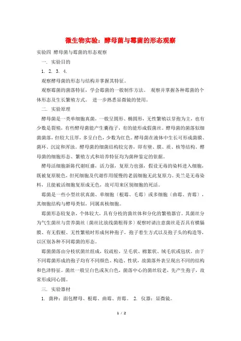 微生物实验：酵母菌与霉菌的形态观察