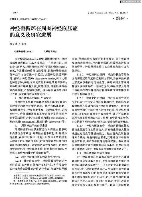 神经微循环在周围神经嵌压症的意义及研究进展