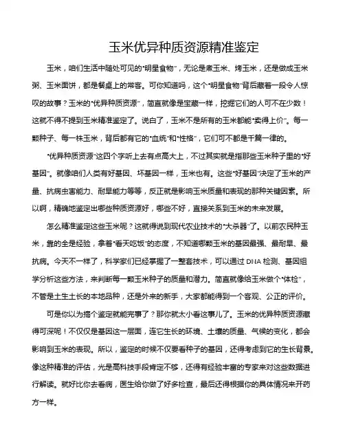 玉米优异种质资源精准鉴定