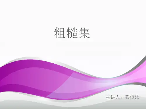 粗糙集