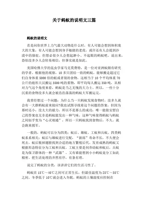 关于蚂蚁的说明文三篇