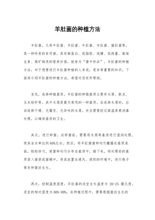 羊肚菌的种植方法