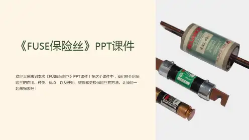 《FUSE保险丝》课件