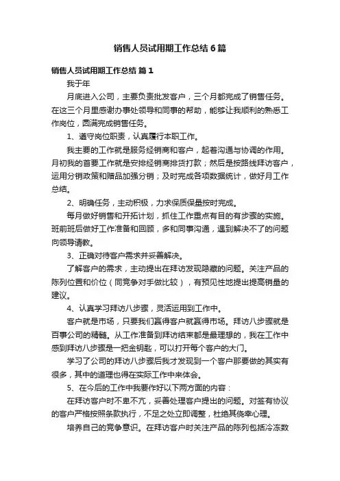 销售人员试用期工作总结6篇