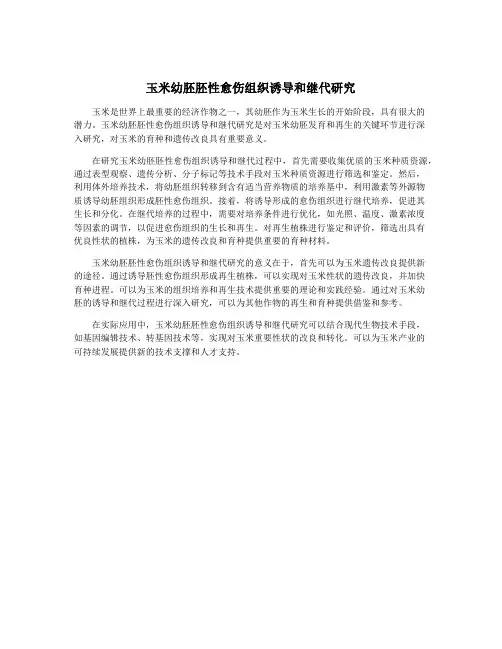 玉米幼胚胚性愈伤组织诱导和继代研究