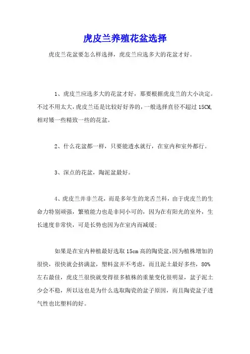 虎皮兰养殖花盆选择