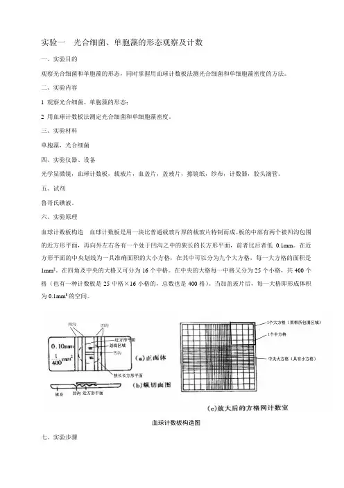 生物饵料培养实验指导教学版