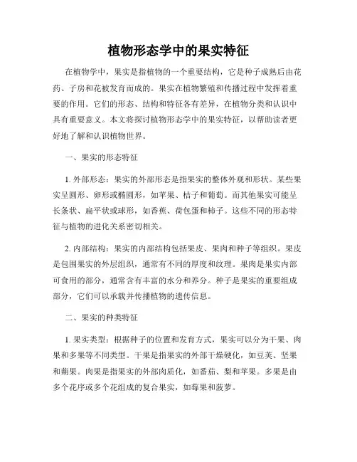 植物形态学中的果实特征
