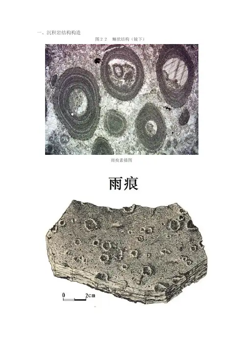 岩石结构、构造