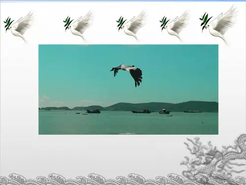 【人教版】初中生物八年级上第一章第六节鸟PPT课件完美