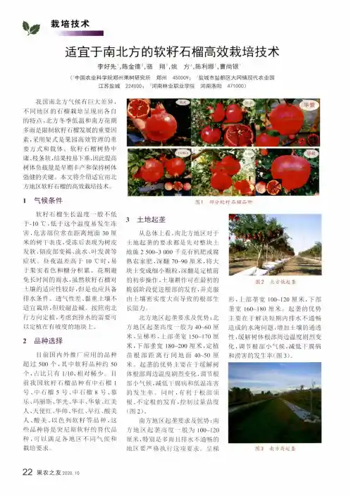 适宜于南北方的软籽石榴高效栽培技术
