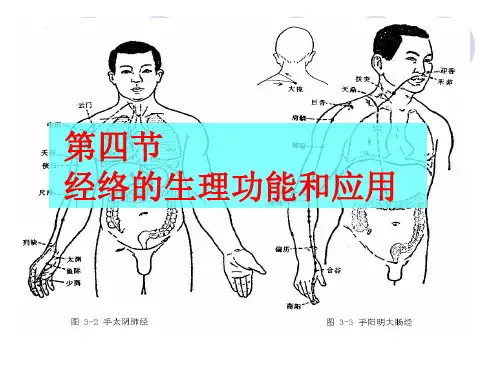 经络的生理功能和应用课件