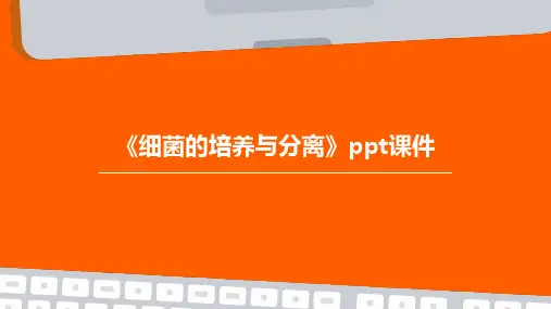 《细菌的培养与分离》课件
