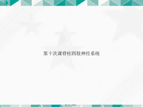 第十次课脊柱四肢神经系统讲课文档
