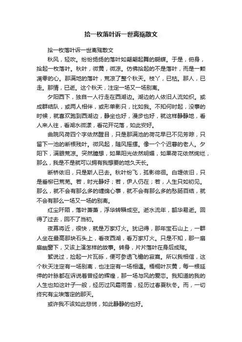 拾一枚落叶诉一世离殇散文