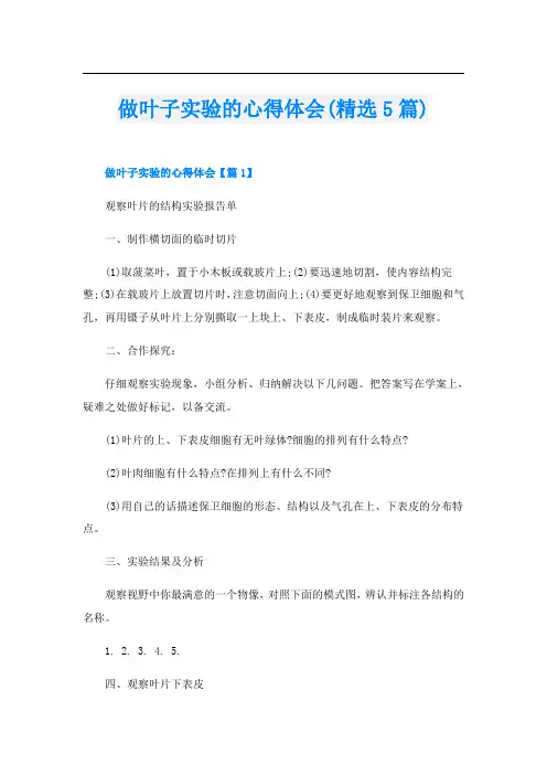 做叶子实验的心得体会(精选5篇)