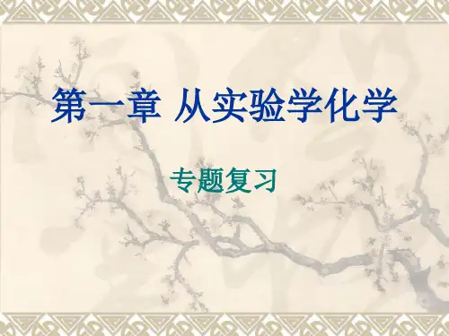 人教版化学必修1第一章知识点复习优秀课件
