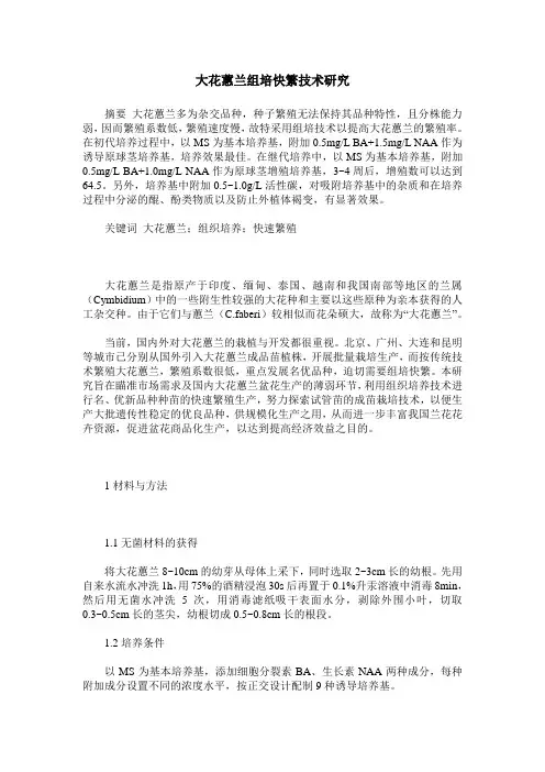 大花蕙兰组培快繁技术研究