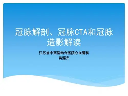 冠脉解刨