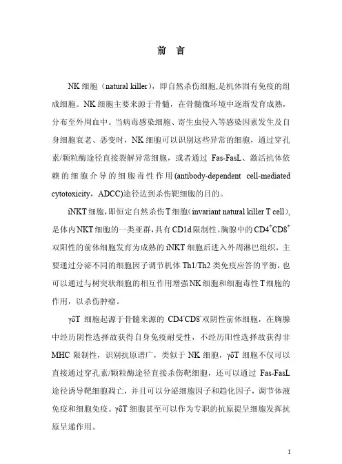 体外扩增培养的nkinkt细胞及...