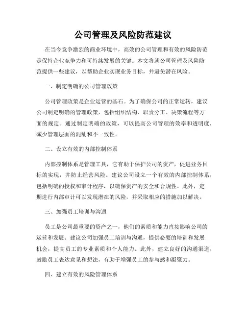 公司管理及风险防范建议