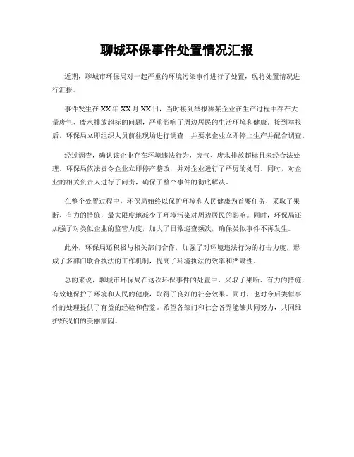 聊城环保事件处置情况汇报