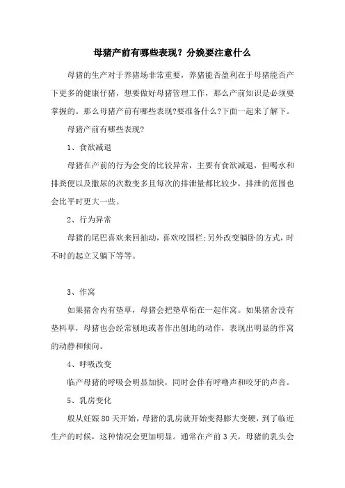 母猪产前有哪些表现？分娩要注意什么