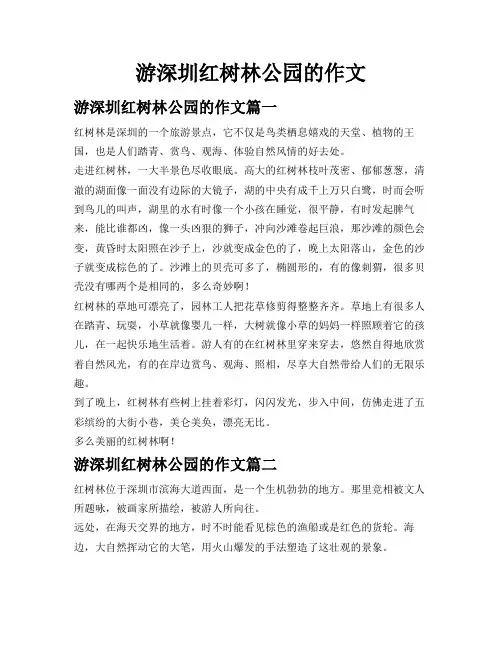 游深圳红树林公园的作文