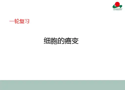 细胞的癌变优秀课件2021届高考生物一轮复习