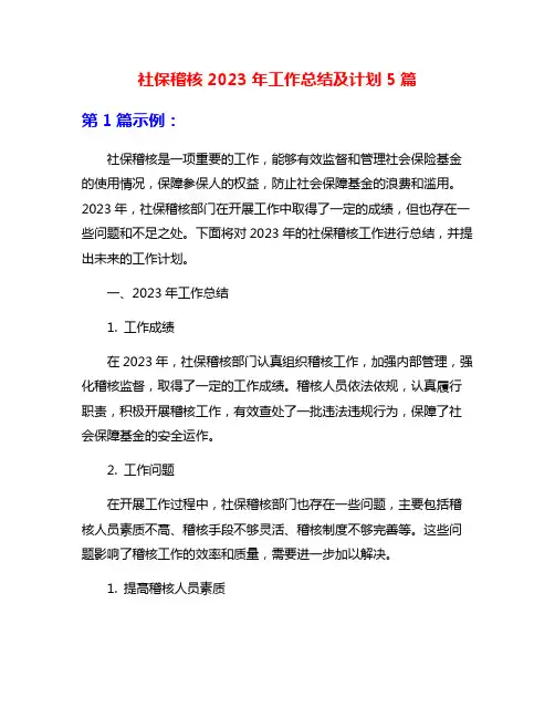 社保稽核2023年工作总结及计划5篇