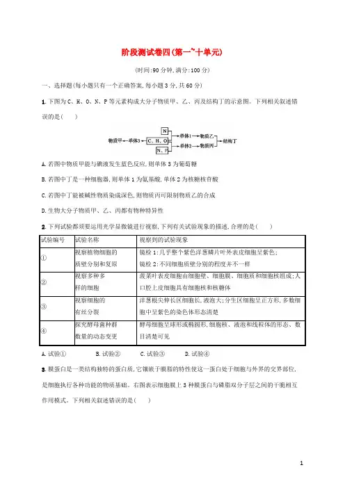 2024年高考生物一轮复习阶段测试卷四第一~十单元含解析新人教版