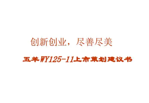 蓝豹摩托上市策划案 PPT课件