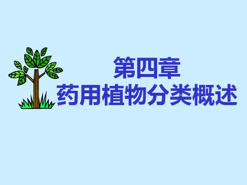 第4章药用植物分类学概述
