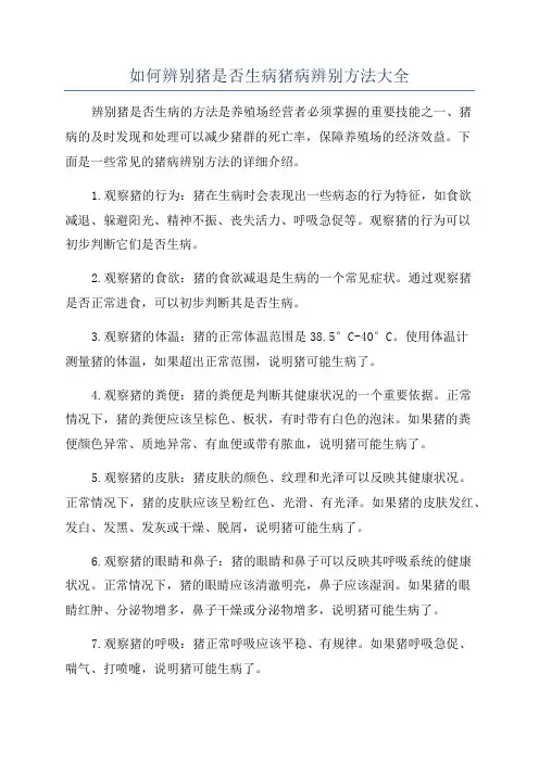 如何辨别猪是否生病猪病辨别方法大全