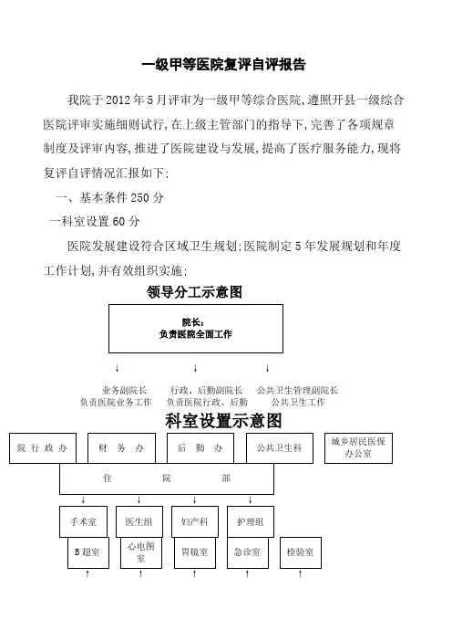 级甲等医院复评自评报告