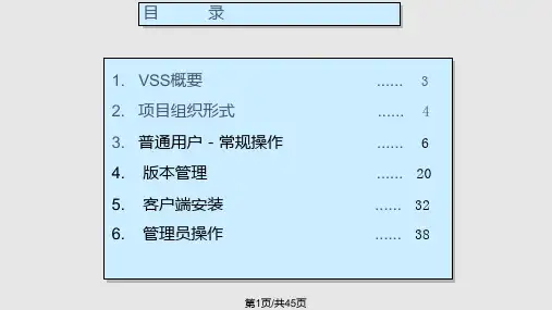 VSS帮助说明文档PPT课件