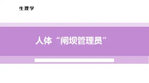 抗利尿激素