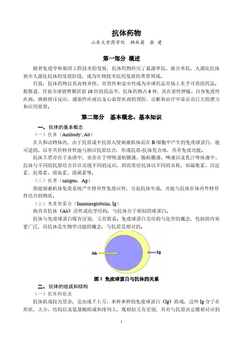 抗体药物教材讲解