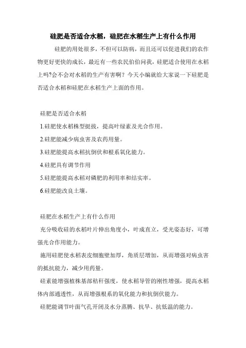 硅肥是否适合水稻,硅肥在水稻生产上有什么作用.doc
