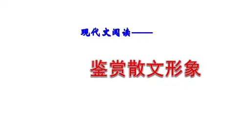 中考语文二轮专题复习《鉴赏散文形象》课件